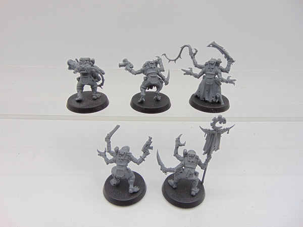 Acolyte Hybrids