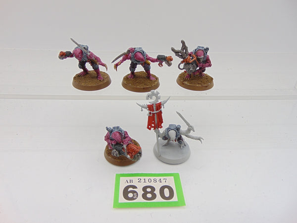 Acolyte Hybrids