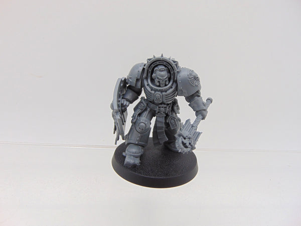 Chaplain in Terminator Armour