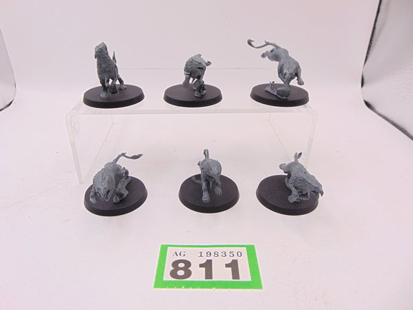 Gryph Hounds