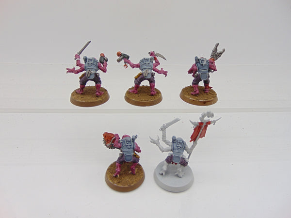 Acolyte Hybrids