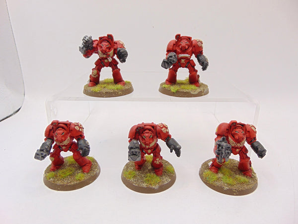 Terminator Squad