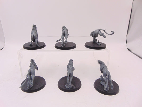 Gryph Hounds