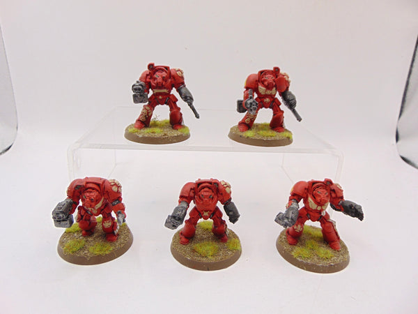 Terminator Squad