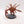 Chaos Spawn