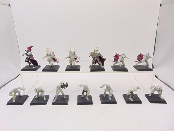 Vampire Blood Bowl Team: The Drakfang Thirsters