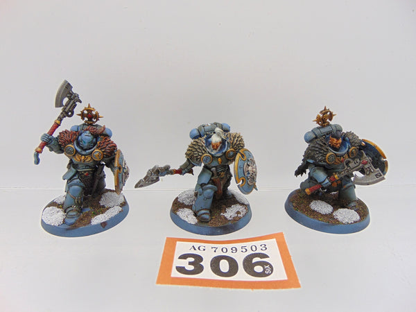 Wolf Guard Headtakers