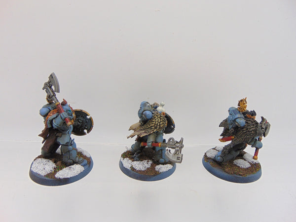 Wolf Guard Headtakers