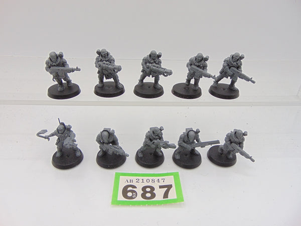 Neophyte Hybrids