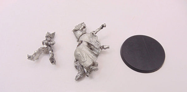 Swan Knight of Dol Amroth