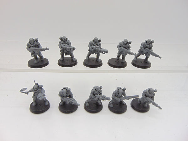 Neophyte Hybrids