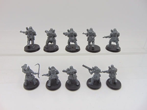 Neophyte Hybrids