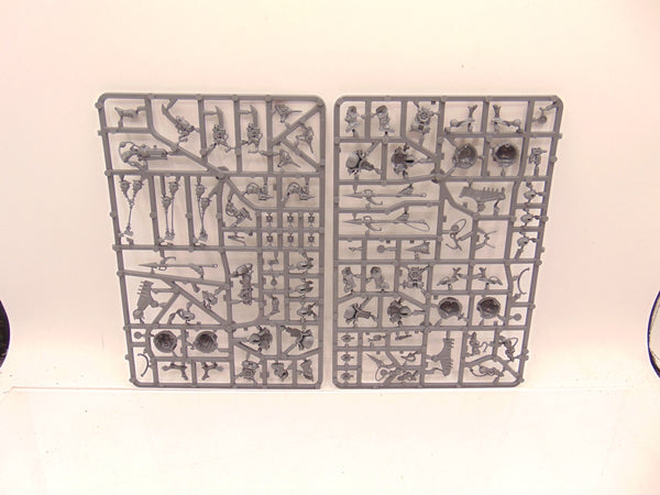 Skywardens / Endrinriggers