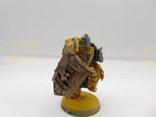 Alexis Polux - 405th Captain of the Imperial Fists