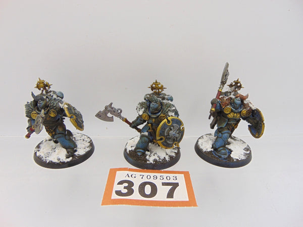 Wolf Guard Headtakers