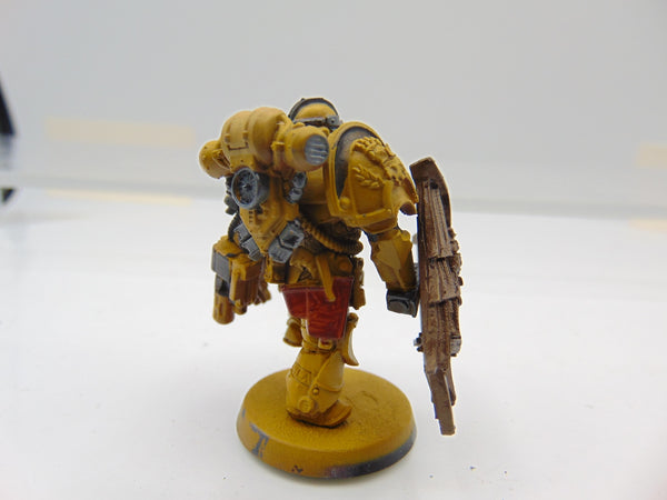 Alexis Polux - 405th Captain of the Imperial Fists