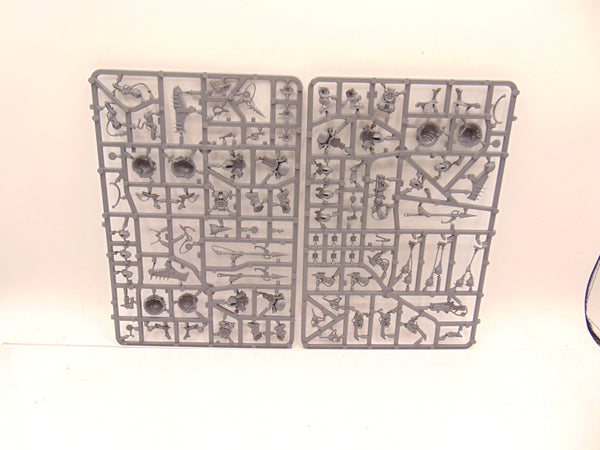 Skywardens/ Endrinriggers