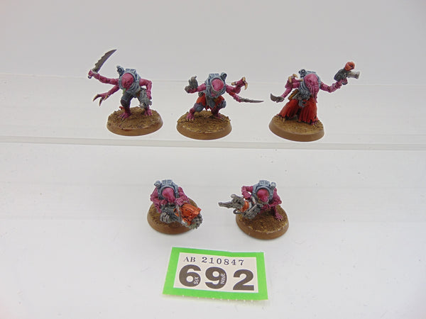 Acolyte Hybrids