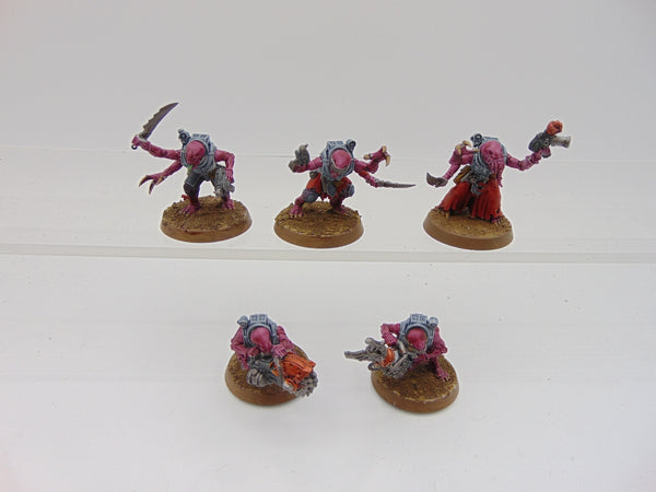 Acolyte Hybrids