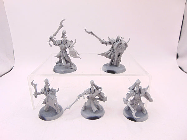 Myrmidesh Painbringers