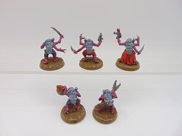 Acolyte Hybrids