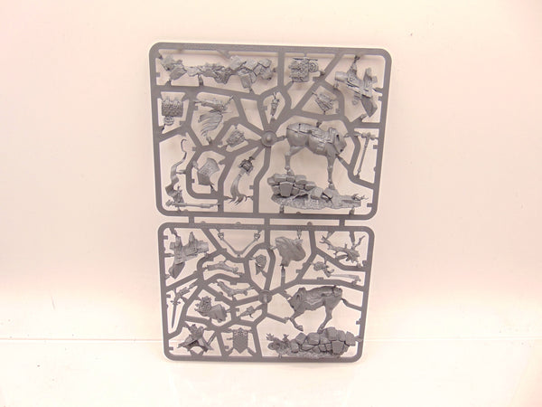 Freeguild Cavalier Marshal