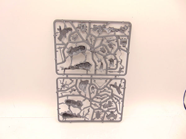 Freeguild Cavalier Marshal