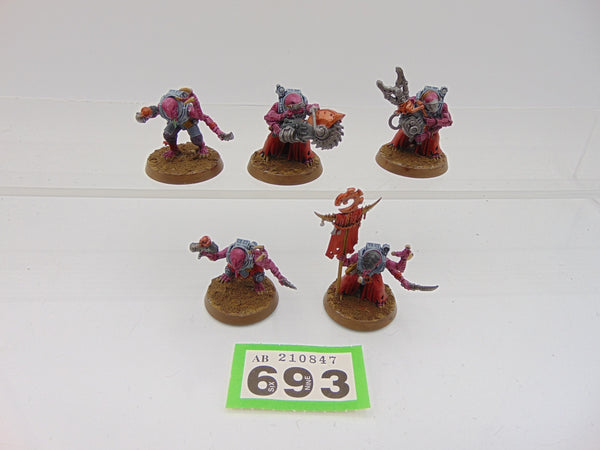 Acolyte Hybrids