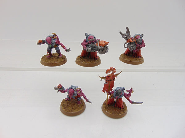 Acolyte Hybrids