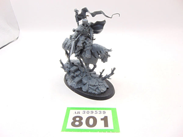 Freeguild Cavalier-Marshal