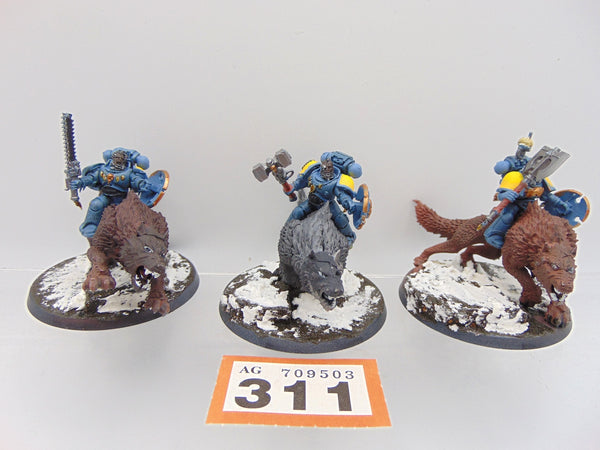 Thunderwolf Cavalry