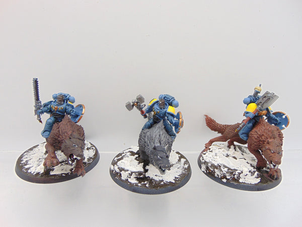 Thunderwolf Cavalry