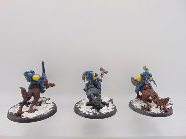 Thunderwolf Cavalry