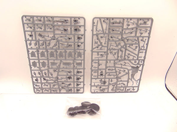 Freeguild Steelhelms