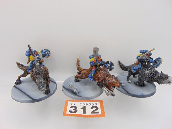 Thunderwolf Cavalry