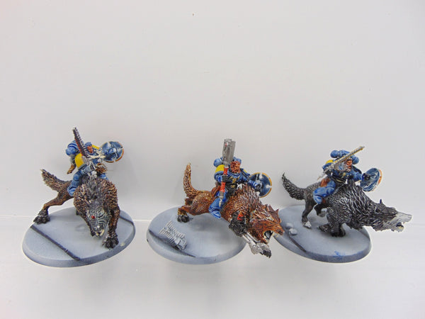 Thunderwolf Cavalry