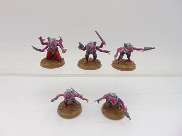 Acolyte Hybrids