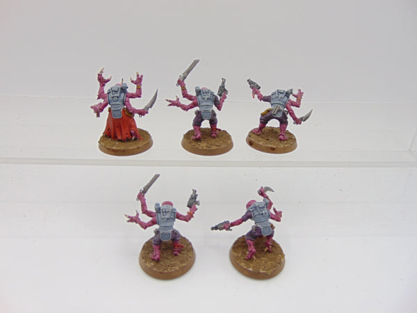 Acolyte Hybrids