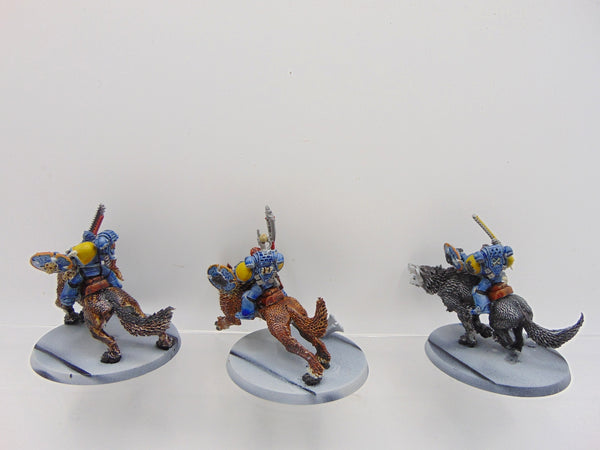 Thunderwolf Cavalry