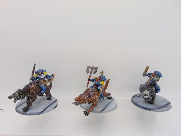 Thunderwolf Cavalry