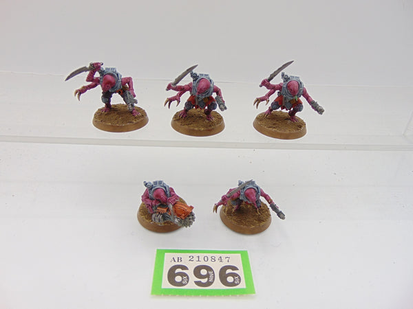 Acolyte Hybrids