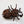 Canoptek Spyder
