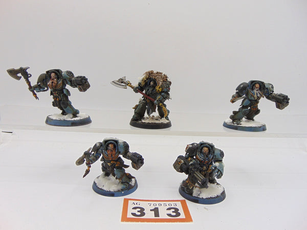 Wolf Guard Terminators