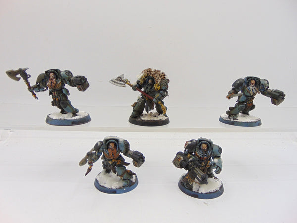 Wolf Guard Terminators