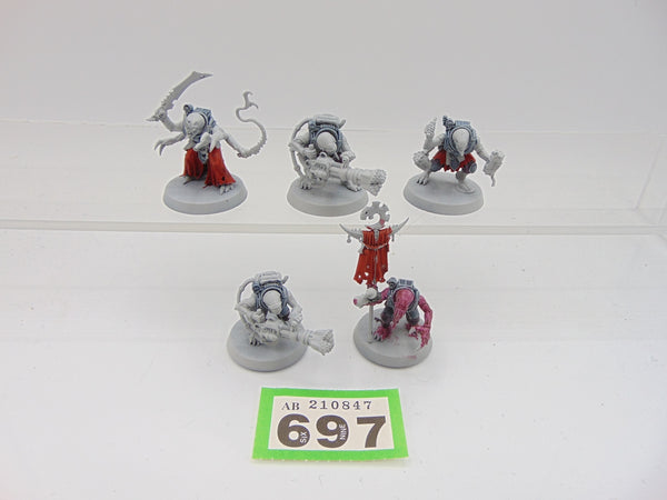 Acolyte Hybrids