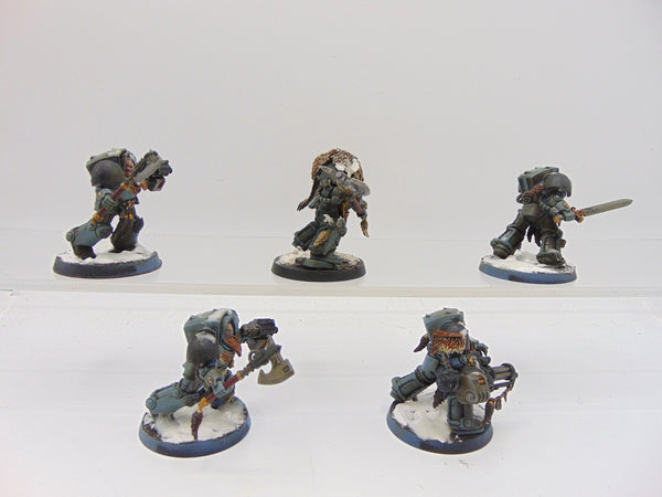 Wolf Guard Terminators