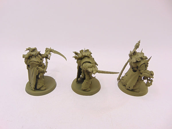 Deathshroud Bodyguard