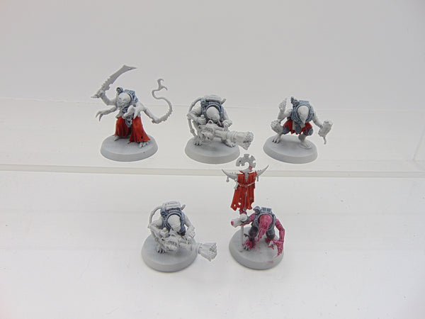 Acolyte Hybrids