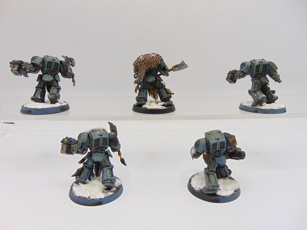Wolf Guard Terminators