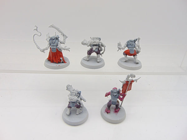 Acolyte Hybrids